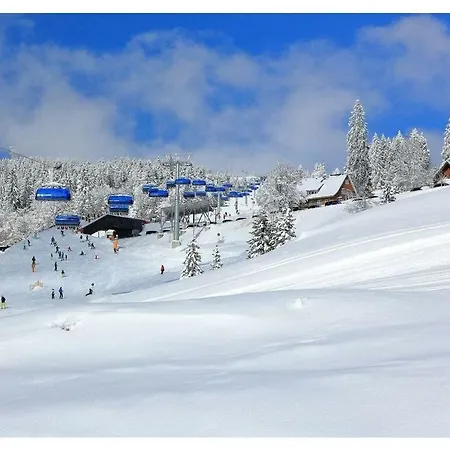 Baerenhuesli No 1 Comfortable Holiday * Titisee-Neustadt